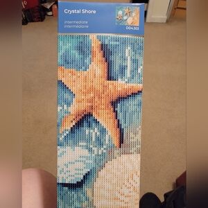 DIY Starfish Mosaic Kit
